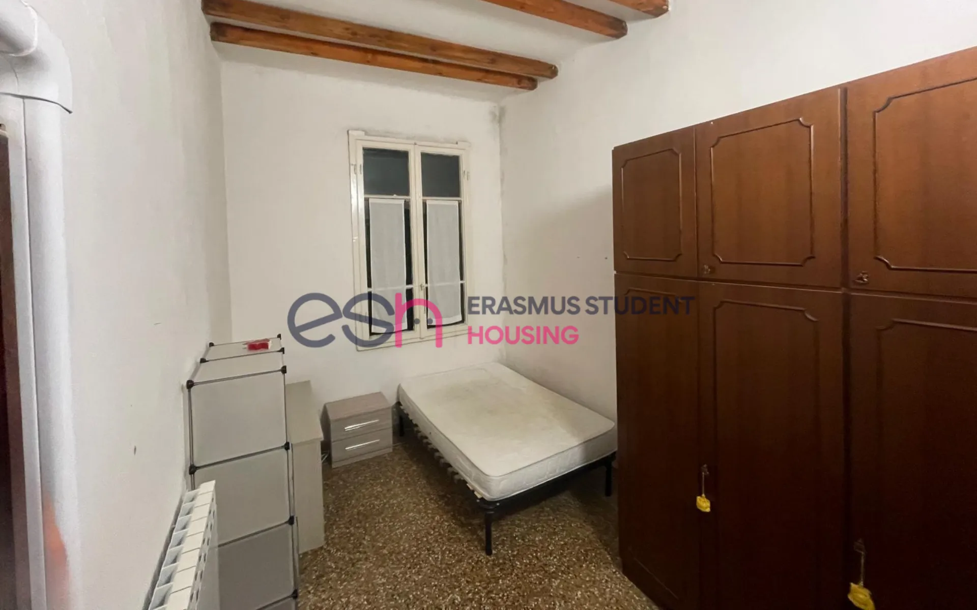 Habitación privada en Pisa